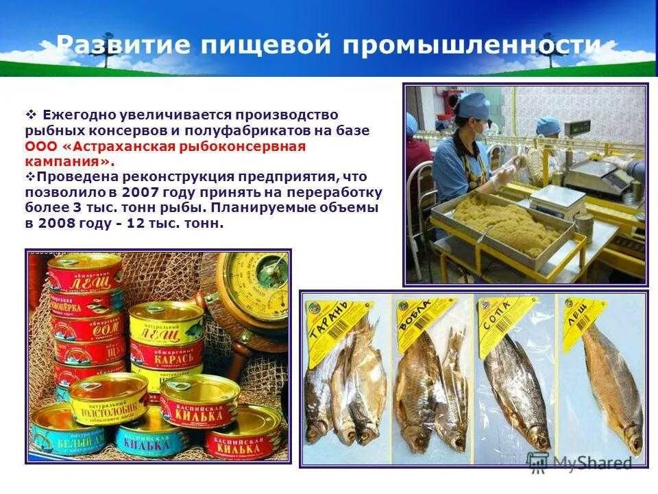Пищевая промышленность текст. Рыбная промышленность астрахань. что производит пищевая промышленность. рыбная промышленность поволжья. предприятия пищевой отрасли.