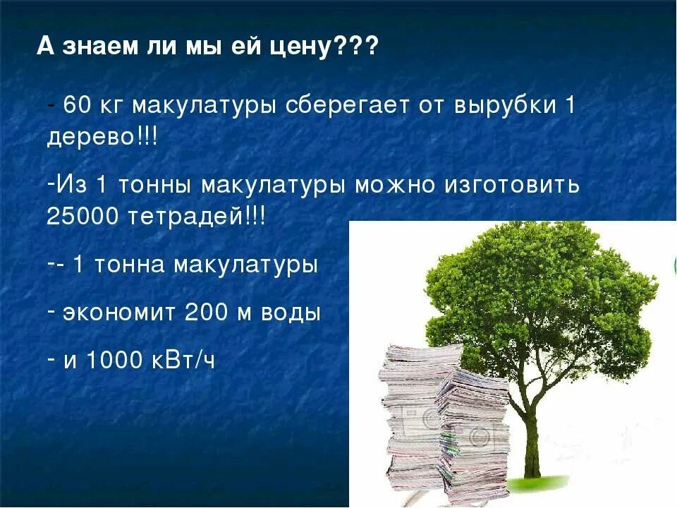 Кг макулатуры. 1 Кг макулатуры. 1 Дерево 60 кг макулатуры. 100 Кг макулатуры 1 дерево.