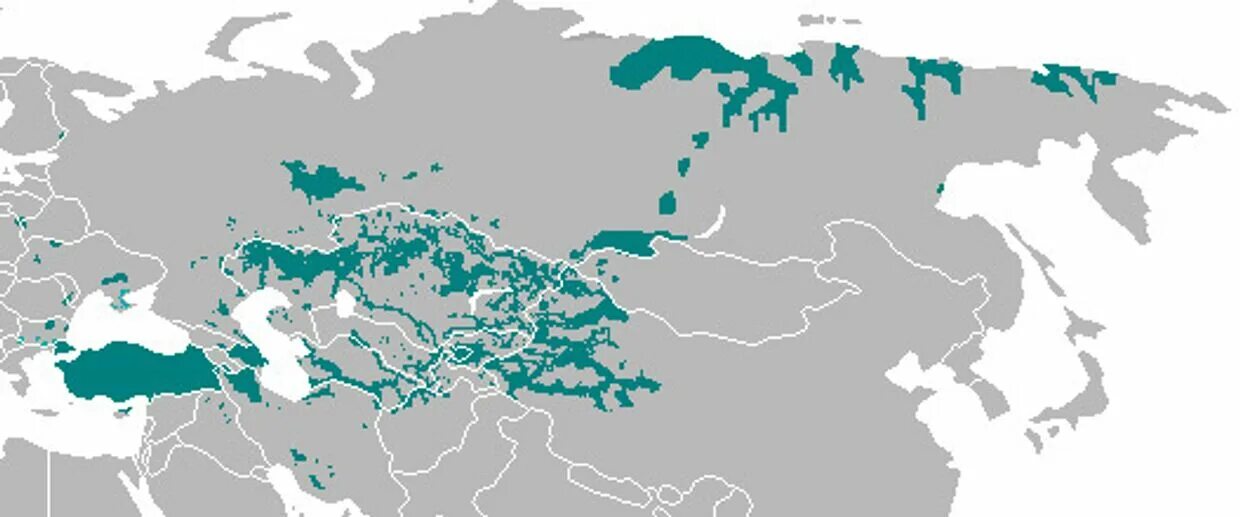 Карта расселения тюркских народов. Ареал расселение тюркоязычных народов. Расселение тюрских народов Росси. Карта расселения тюркских племен.