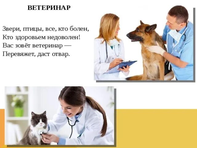 Один день в профессии ветеринар. Ветеринар звери птицы. Ветеринар звери птицы все кто болен кто здоровьем. Зовите ветеринара.