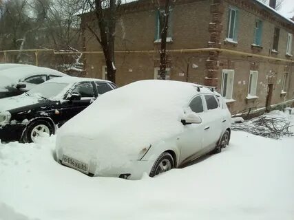 100 зим