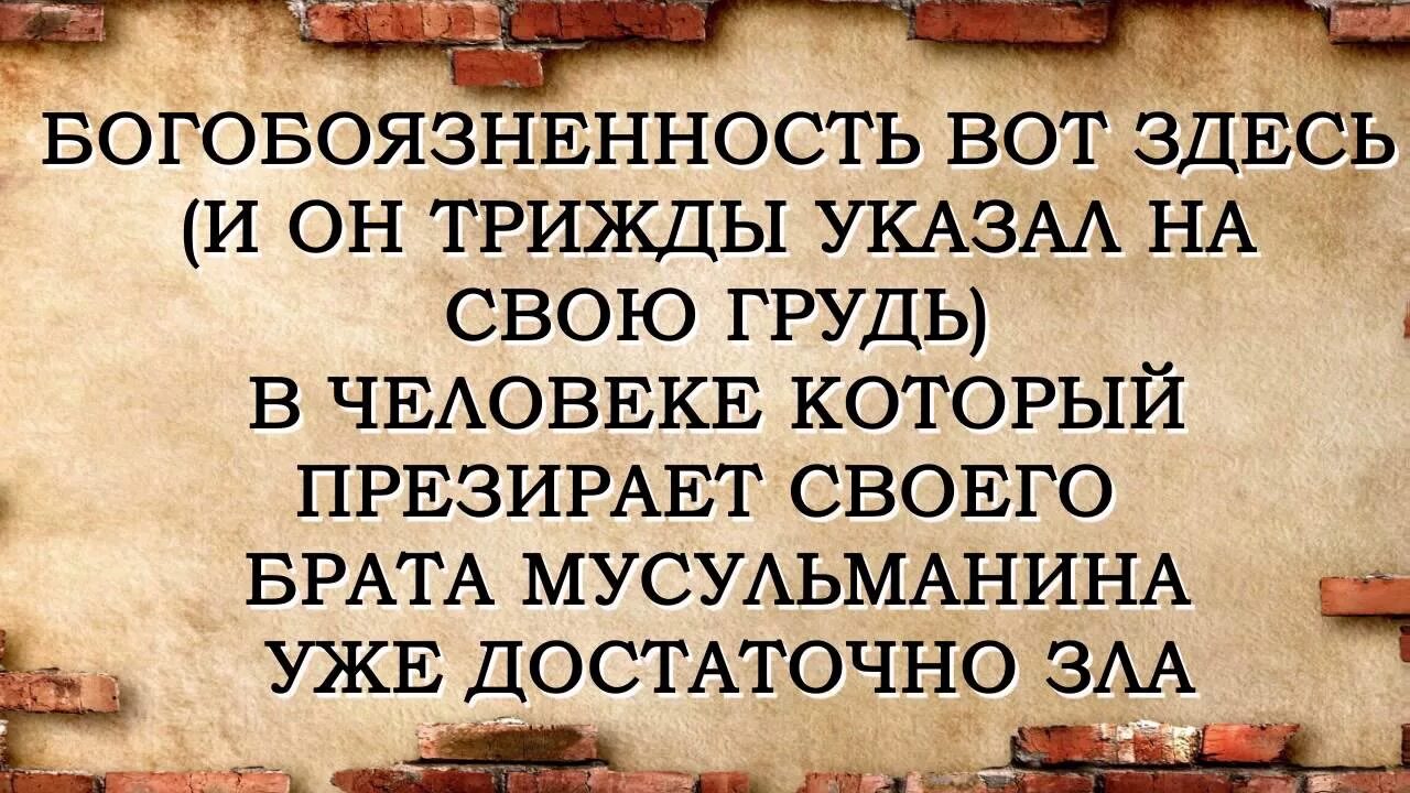 Про братство в исламе. Про братство в исламе. Братство в исламе хадисы. Истинное братство в исламе. Братство в исламе картинки.