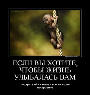 Если хотите чтобы жизнь улыбалась