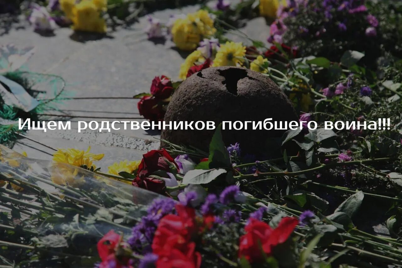 Поисковый отряд обелиск. Ищу погибшего родственника. Разыскиваются родственники солдата. Ищу погибшего родственника. Ищу погибшего родственника.