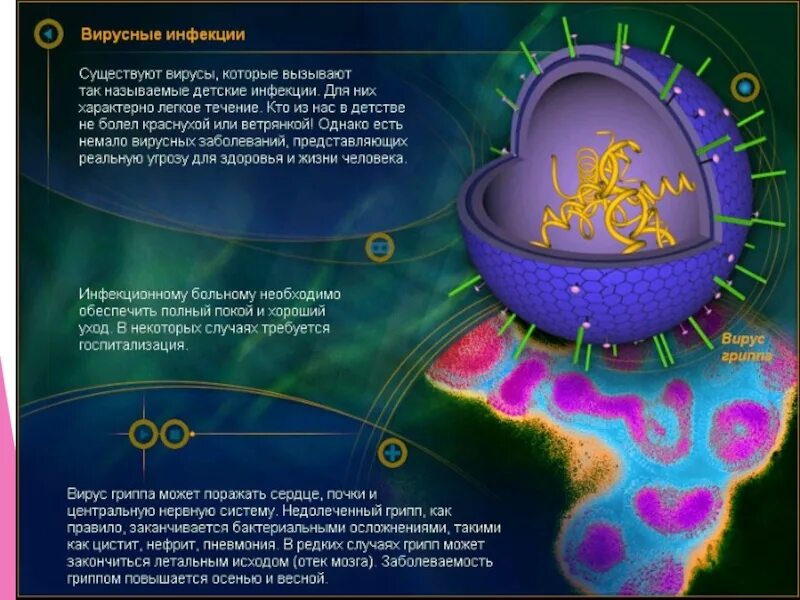 Virus 9. Вирусы по биологии. Вирусы презентация. Вирусы биология 9 класс. Вирусы биология презентация.