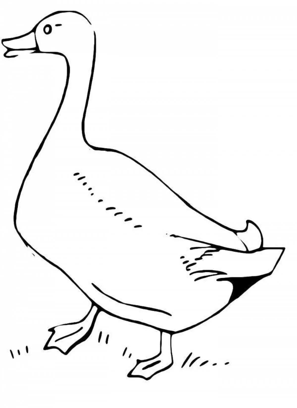 Гусь распечатать. Гусь распечатать. Гусь распечатать. Гусь раскраска для детей. Раскраска гус для детей.