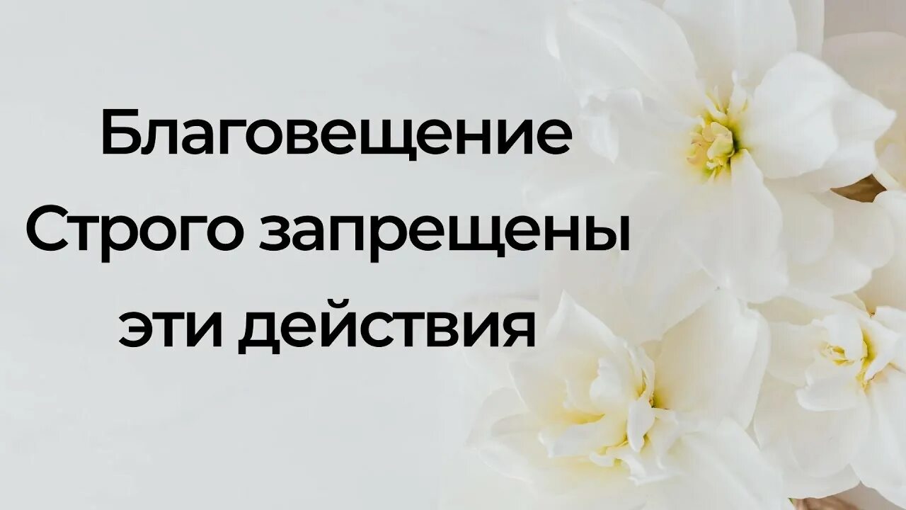 Тайна жрицы Life. Благовещение 2022. Праздник Благовещение приметы и обычаи заговоры. .Благовещение Благовещение 2023.