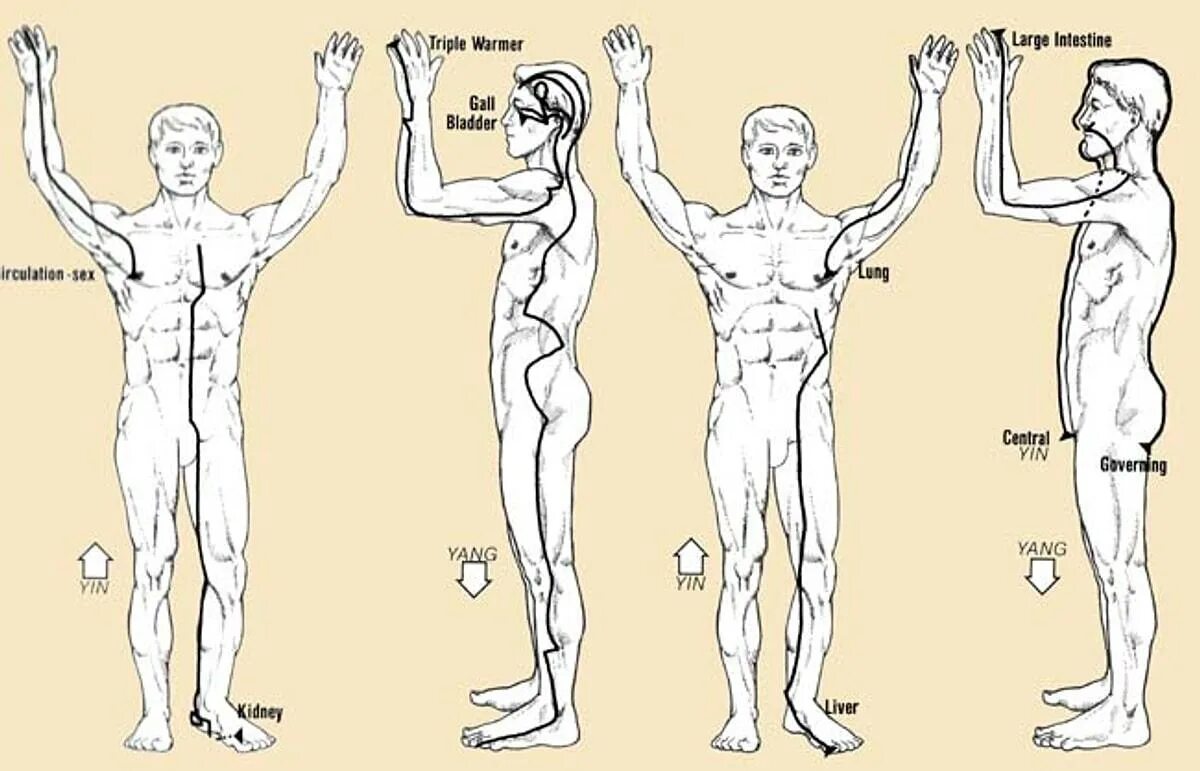Прямой даосский круг энергии. Прямой и обратный круг энергетические потоки практика. Прямой и обратный энергетический круг. Обратно круга. Прямой даосский круг.