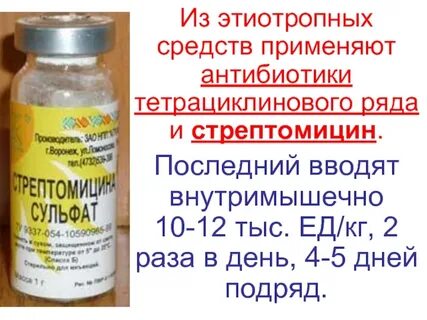 Стрептомицина сульфат инструкция применения