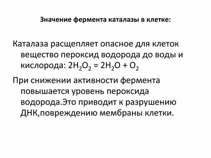 Каталаза фермент что это