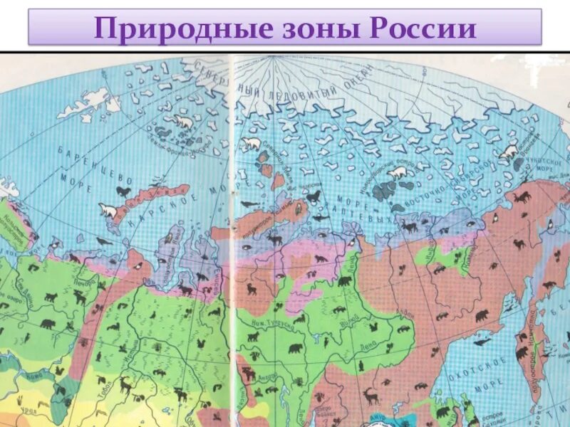 Природные зоны. Карта природных зон. Природные зоны России. Карта природных зон России.