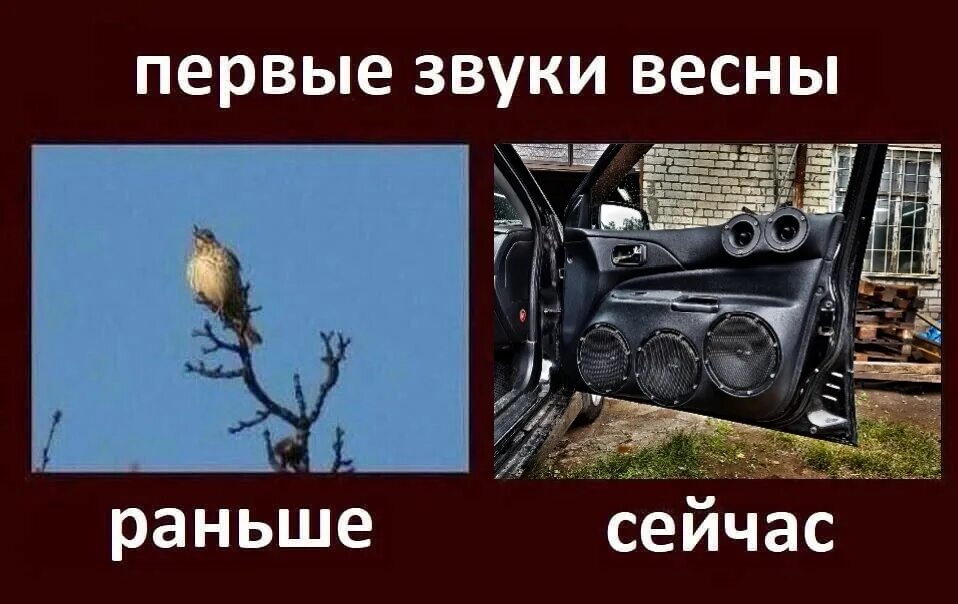 Первые звуки весны. Звук весны ранней аудио.