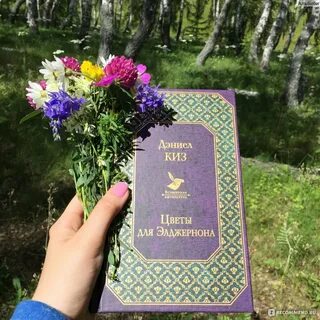 Цветы для элджернона дэниел киз книга отзывы