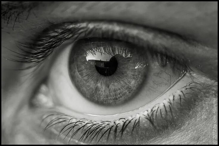 Pin by Phil Lancaster on Specials Black and white portraits, Eye photography, Wh