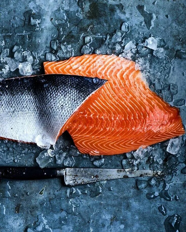 Кижуч (oncorhynchus kisutch). Лосось хорошая рыба. Австралийский лосось кахавай. Семга чили. Лосось рыба живая.