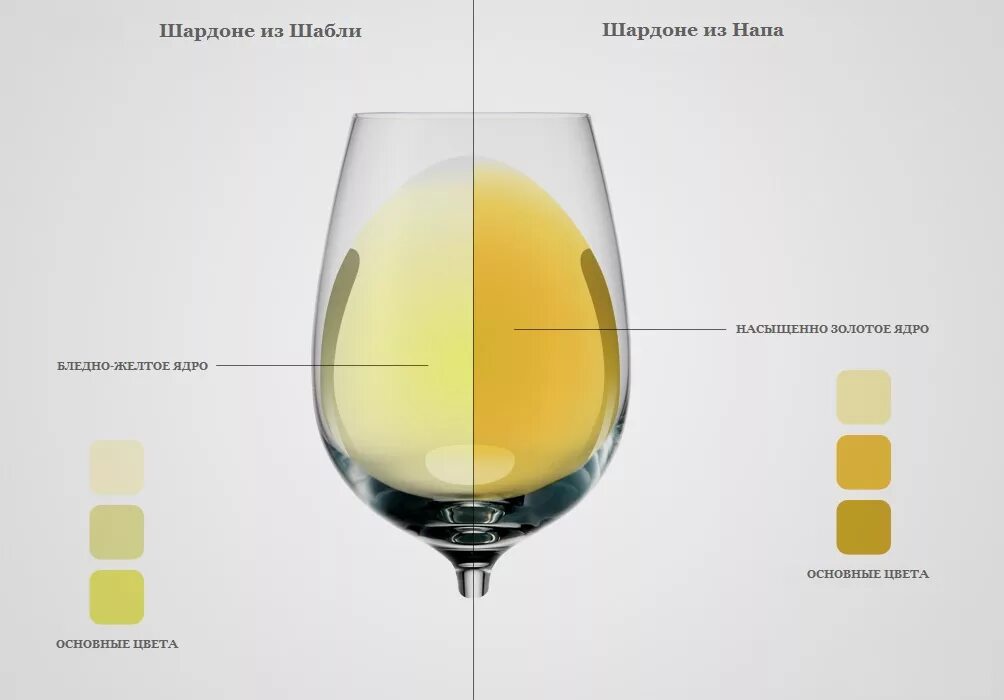 белое вино цвет. цвет вина. вино изменило цвет. Pinot noir цвет вина. France wine.