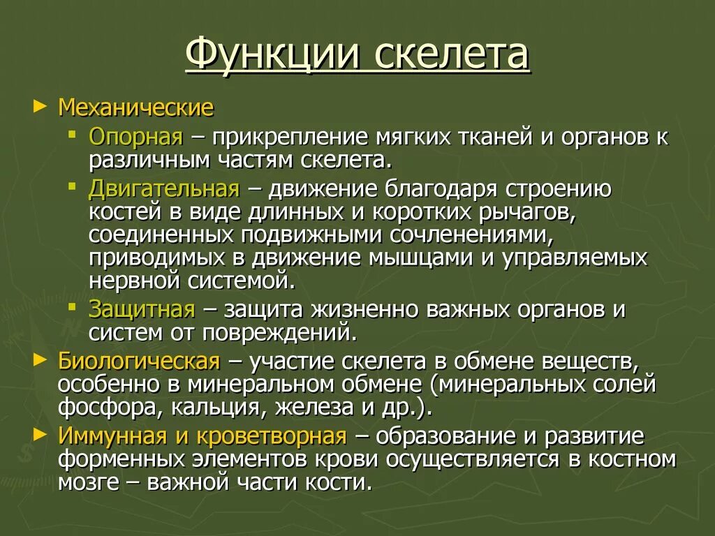 Скелет участвует в обмене. Функции скелета. Функции скелета человека. Основные функции скелета человека. Механические и биологические функции скелета.