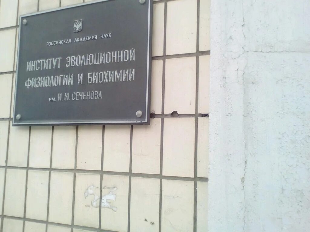 сеченов институт эволюционной физиологии и биохимии. институт эволюционной физиологии и биохимии им и. институт эволюционной физиологии и биохимии сеченова спб. институт эволюционной физиологии им. институт эволюционной физиологии и биохимии имени и м сеченова ран.