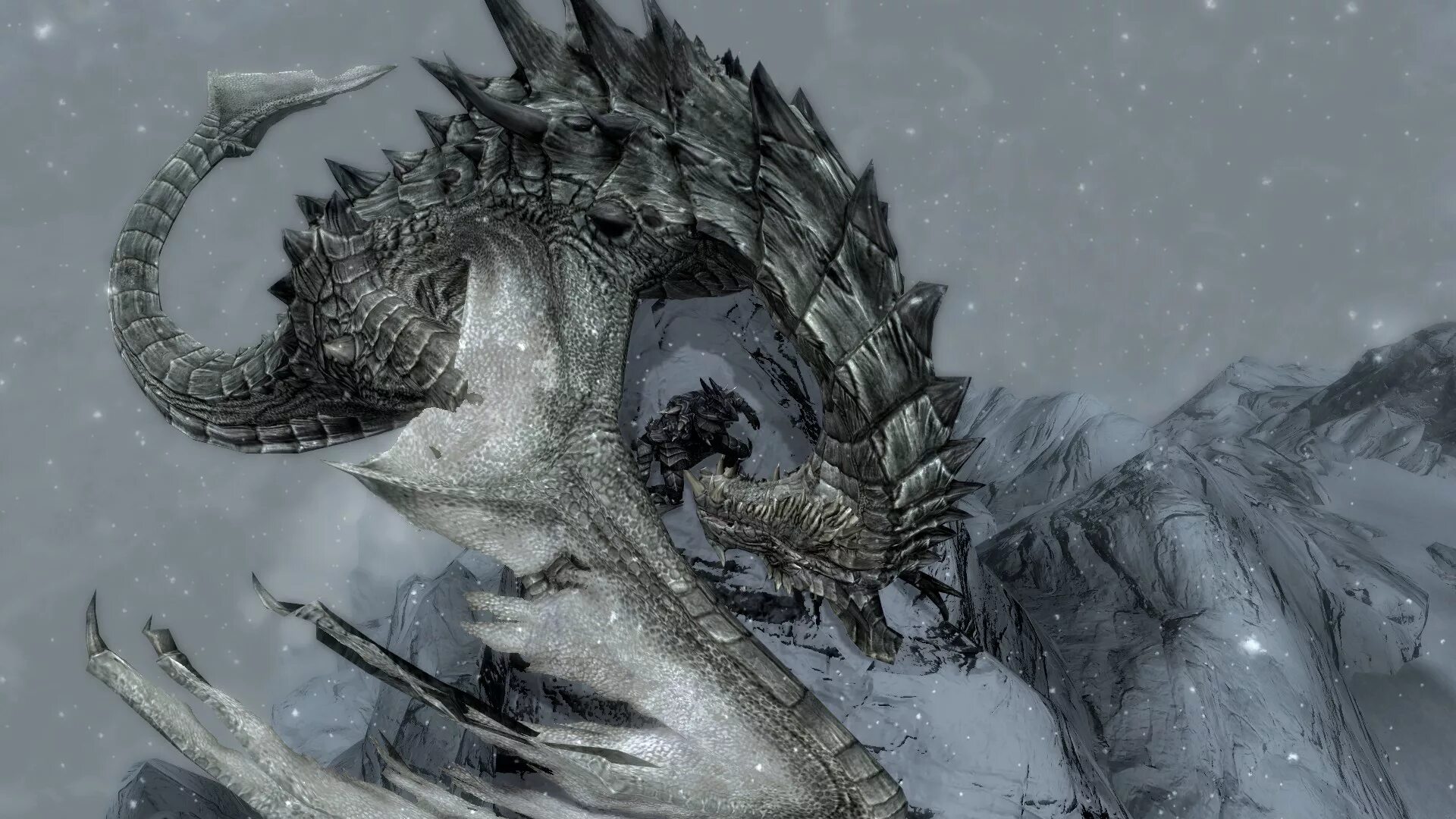 Змеевидный дракон скайрим. Дракон арт. Снежный дракон. Обои дракон.