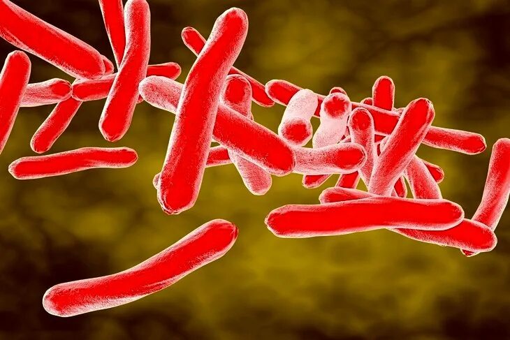 Новый вирус туберкулеза