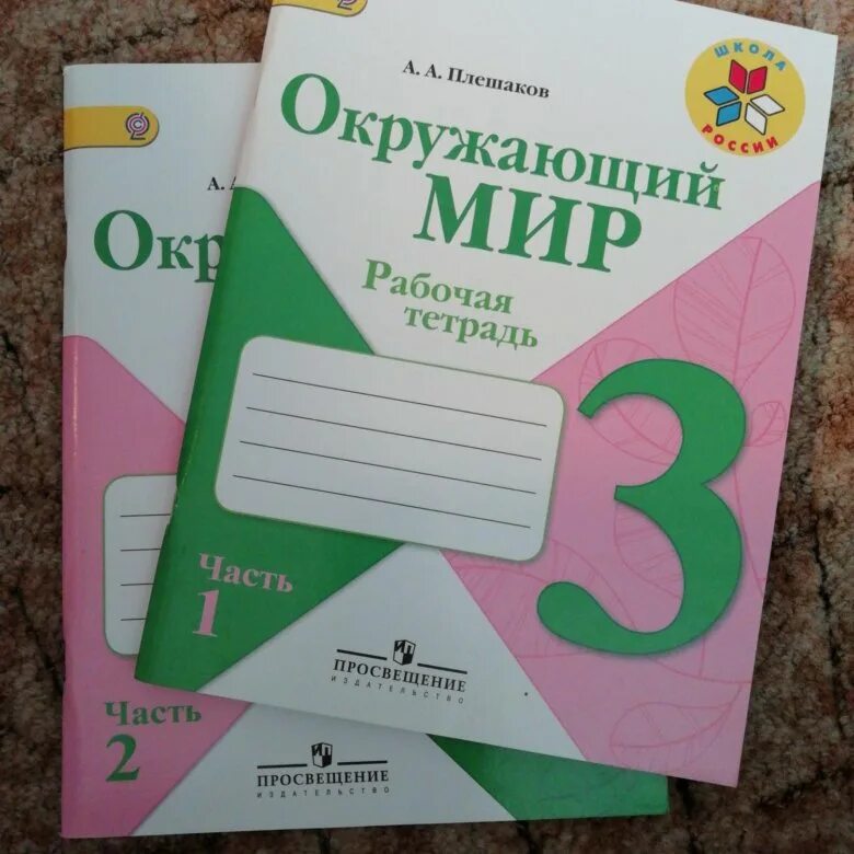 Печатная тетрадь. Окружающий мир 3 класс тетрадь. Окружающий мир 3 класс рабочая тетра. Тетрадь по окружающему миру 3 класс. Окружающий ми 3 класс рабочая тетрадь.