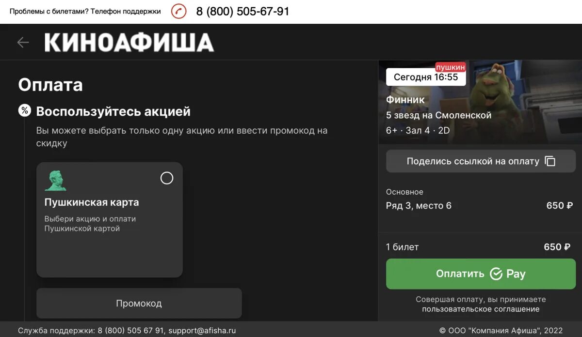 Как оплатить билет Пушкинской картой. Как оплачивать Пушкинской картой.