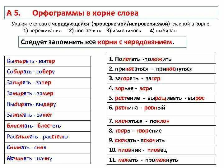 Три группы орфограмм. Орфограммы гласные в корне слова. Орфограмма правописание гласных в корне с чередованием. Орфораммы вкорееслова. Орфограмма в слове.