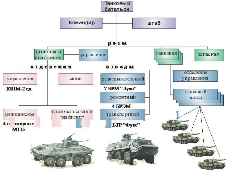 Общевойсковая армия численность в россии. ОШС танкового батальона т-80. Организационная штатная структура танкового полка. Структура танкового батальона вс РФ.