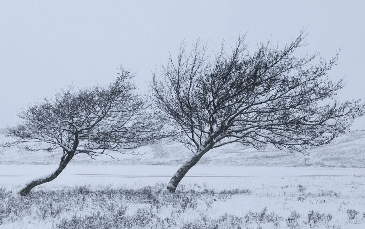A very strong wind is
