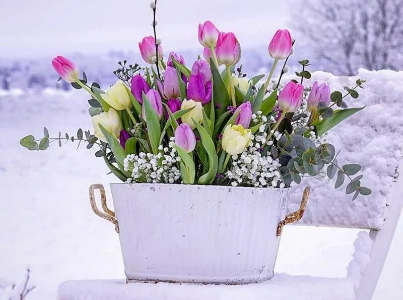 Доброе снежное мартовское утро. Красивые нежные букетики зимние. Весеннее настроение. С днем рождения зимние цветы. Весеннего утреннего настроения.