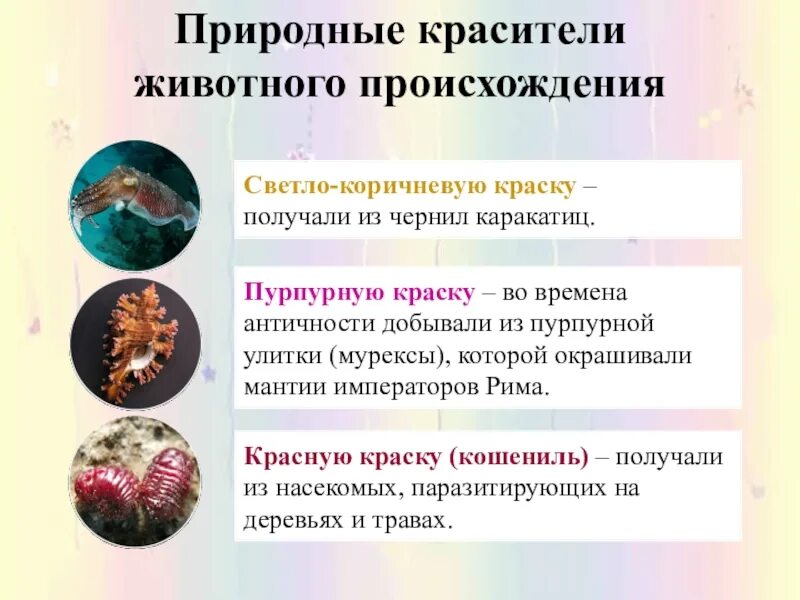 Пигменты животных