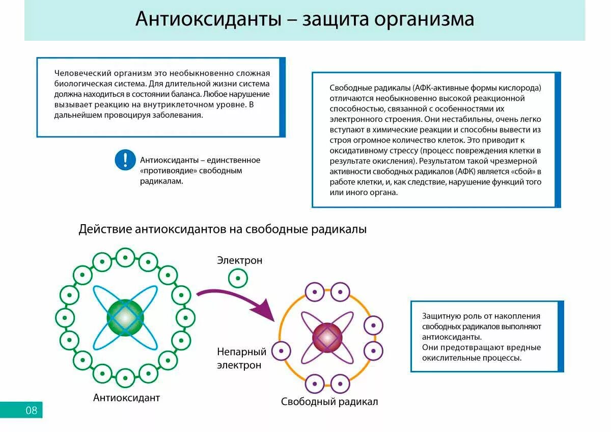 Система радикалов. Механизм действия антиоксидантов на свободные радикалы. Схема действия антиоксидантов. Вещества защищающие клетку от действия свободных радикалов. Антиоксидантная защита схема биохимия.