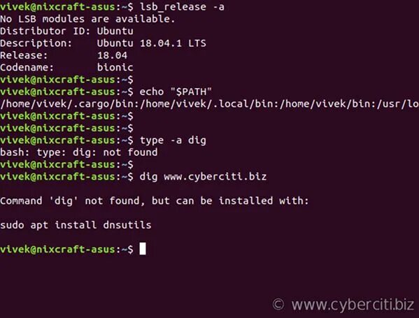 Type Linux команда. Dig Linux. Dig Linux примеры. Command not found.