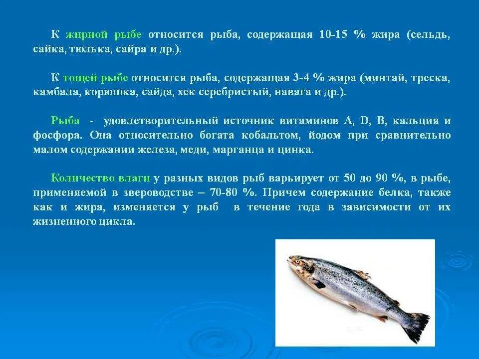 Особенности жиров рыб. К тощим рыбам относят треску. Навага вид рыбы. Минтай вид рыбы.