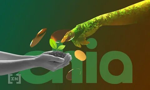 Chia wallet
