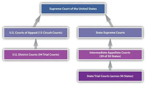 Highest appeal court