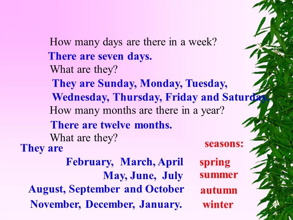 What are you there. Months in English с переводом. Вопросы с how many. Ответ на вопрос how many Days are there in a week. Вопрос how many are there.