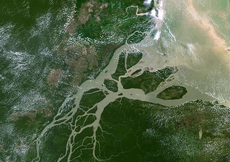 World Oceans Day: Deltas critical to ocean health - Earth.com