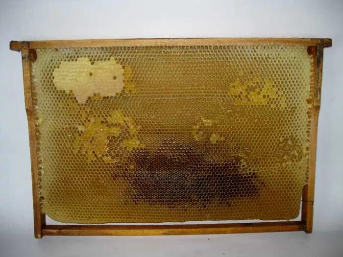 Купить пчелиные рамки. Рамки вощина Дадан 145. Рамки с сушью (на 145) для пчёл. Рамка для пчел сушь Дадан. Размер вощины Дадан и рута.