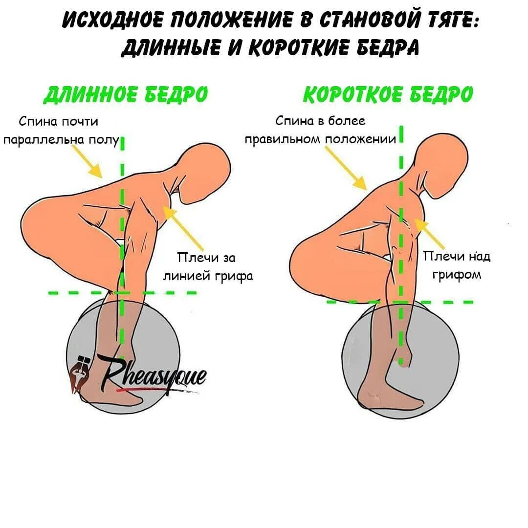 Становая какие мышцы. Положение спины в становой тяге. Становая тяга для новичков вес. Нагрузка на межпозвоночные диски памятка при становой тяге. Становая тяга с человеком на спине.