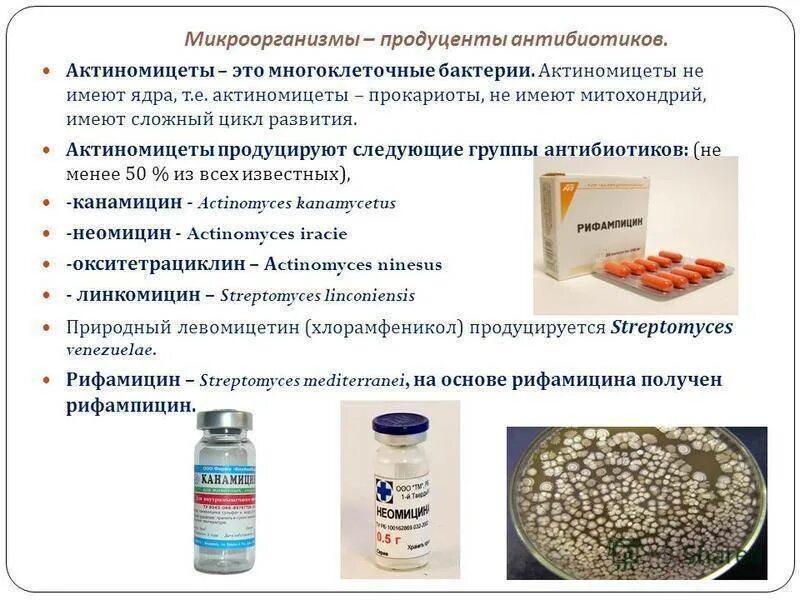 Можно ли а е