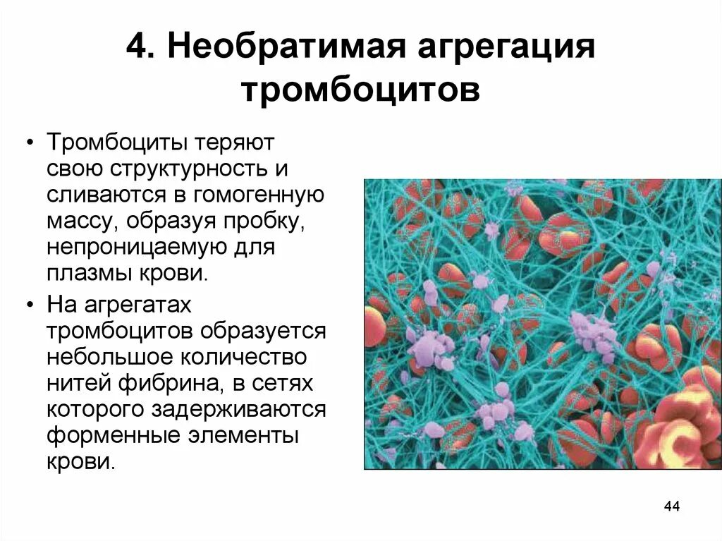 Почему снижаются тромбоциты. Агрегаты тромбоцитов. Тромбоцитнери агрегация. Обратимая и необратимая агрегация тромбоцитов. Влияние АДФ на тромбоциты.