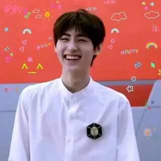 Kai bae