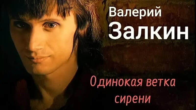 Песня залкина одинокая ветка сирени