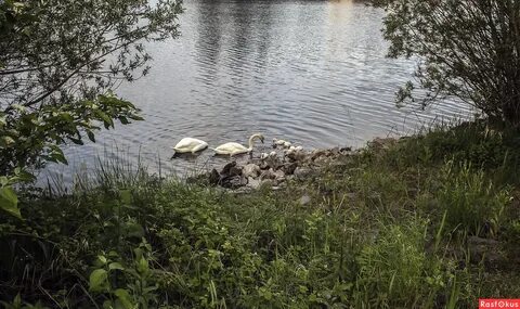Этот веселый чистенький морской
