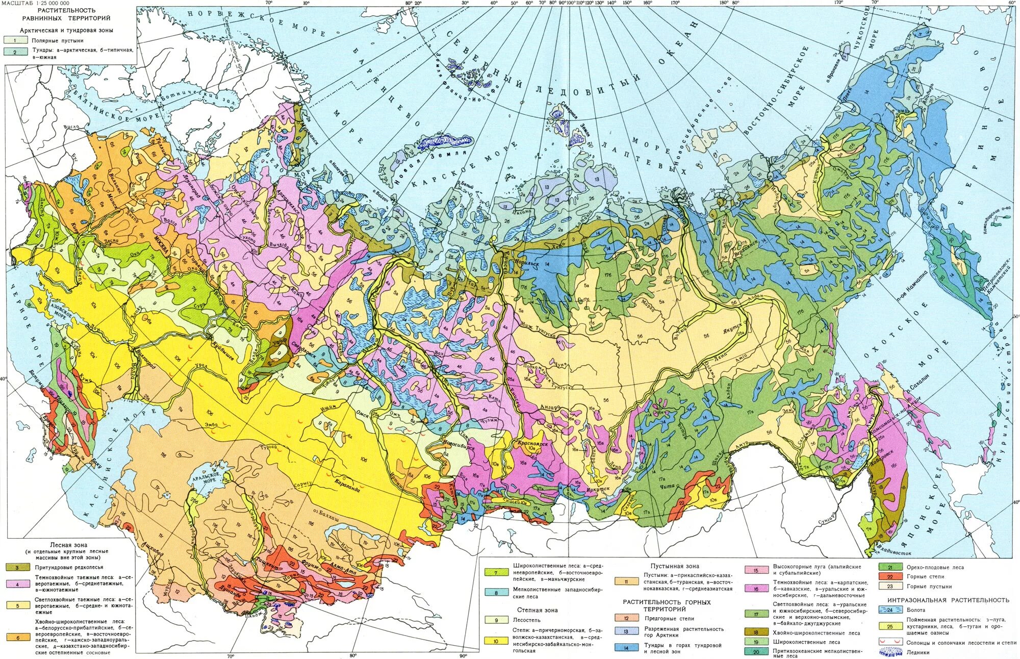 Карта зоны растительности России. Карта природных зон СССР. Почвенно-растительный Покров карта России. Карта растительности России атлас.