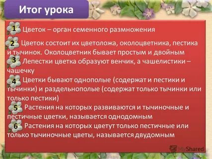 Орган семенного размножения
