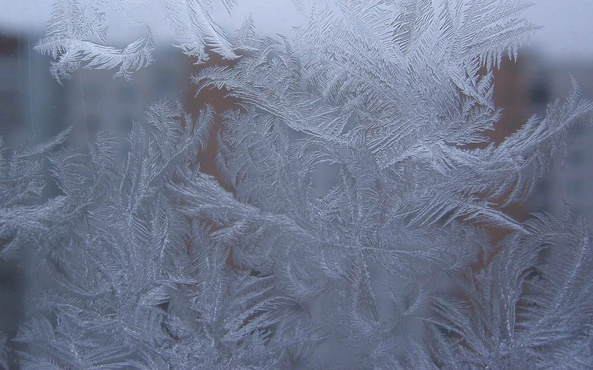 При сильных морозах на стеклах окон. Зимние узоры. Морозные узоры на окне. Морозные узоры на стекле. Ледяные узоры.