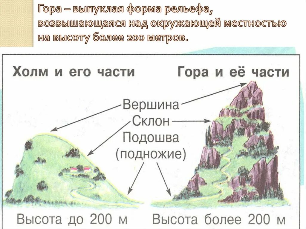 Назовите основные формы рельефа земли. Формы рельефа. Гора выпуклая форма рельефа. Средние формы рельефа. Формы рельефа схема по высоте.