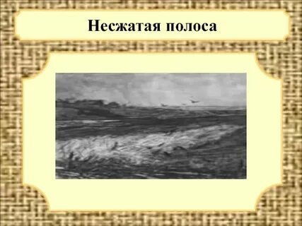 Несжатая полоса каким стихотворным размером написано стихотворение